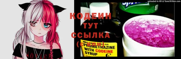 бошки Корсаков