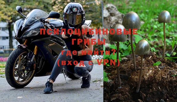 спиды Козельск